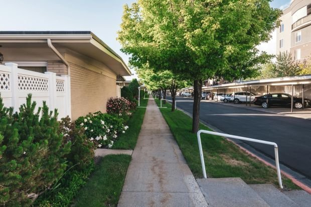 A peaceful residential street lined with trees and houses, featuring a sidewalk and parked cars.